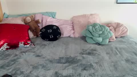 Snapshot of ladyboyhomemaker chatting on March 2025 08:30:01 AM ladyboyhomemaker online show from March 2025 08:30:01 AM