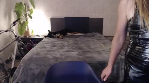 Snapshot of ladyboyhomemaker chatting on September 2025 07:20:01 AM ladyboyhomemaker online show from September 2025 07:20:01 AM