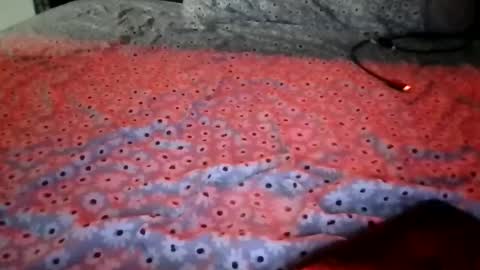 Stephanie online show from December 2025 01:54:01 AM