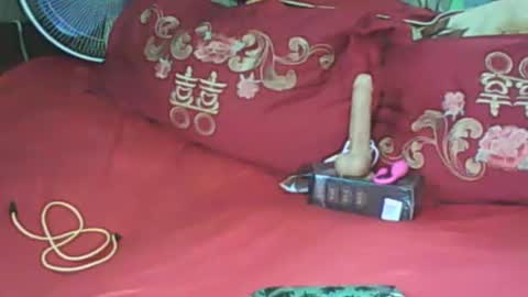 LadyXSnakes online show from January 2025 07:25:02 AM