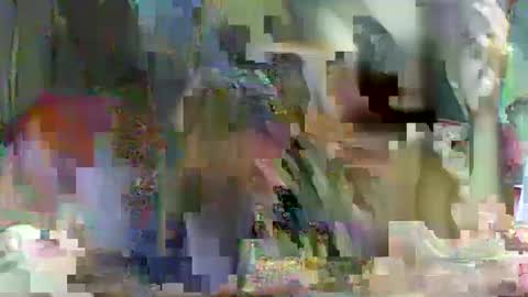 LadyXSnakes online show from February 2025 03:51:02 PM