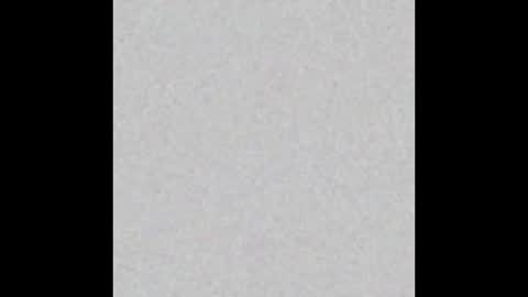  paola and a guest lol    online show from February 2025 08:49:01 AM