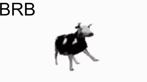 just call me Lana  and her security online show from January 2025 11:13:01 AM