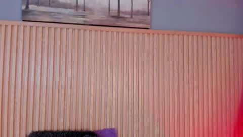 ... .          . ... online show from November 2025 01:21:02 PM