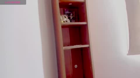 LANA online show from January 2025 01:18:02 PM