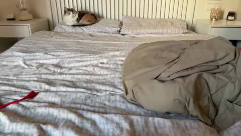 Snapshot of lana_inked chatting on February 2025 02:16:01 PM Lana online show from February 2025 02:16:01 PM