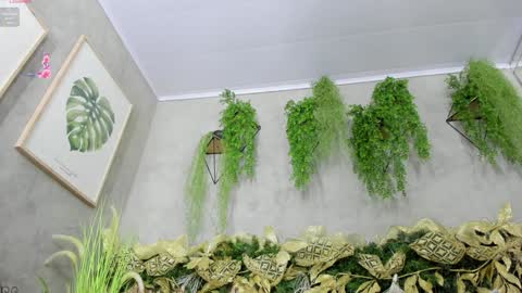 lana_lann online show from December 2024 11:54:02 AM