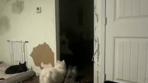 Snapshot of lanasharapovaxxx chatting on February 2026 12:28:02 AM lanasharapovaxxx online show from February 2026 12:28:02 AM