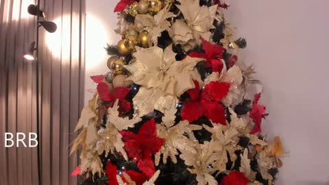 Tiana online show from December 2024 11:25:01 PM