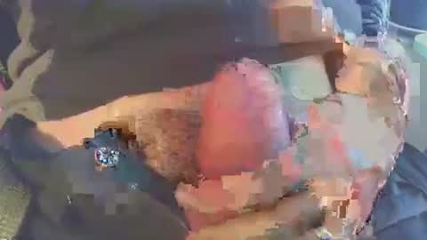 Snapshot of latil chatting on November 2025 08:39:02 AM joseph online show from November 2025 08:39:02 AM