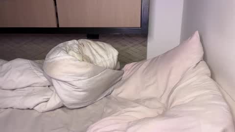 Hi -  online show from December 2024 05:52:02 AM