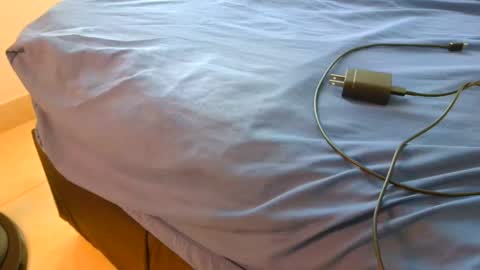 blackBear online show from November 2025 01:28:02 PM