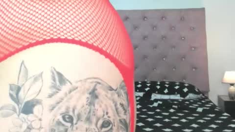 laurenlaine online show from May 2026 03:38:01 PM