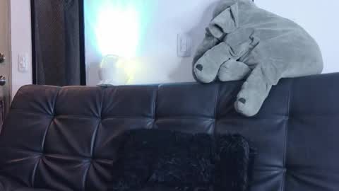    online show from March 2026 01:23:01 AM