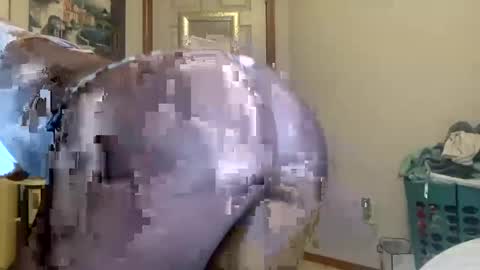 Snapshot of layla216903 chatting on September 2025 06:48:02 AM layla online show from September 2025 06:48:02 AM