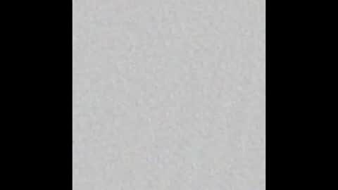 Layla online show from January 2025 10:30:01 AM