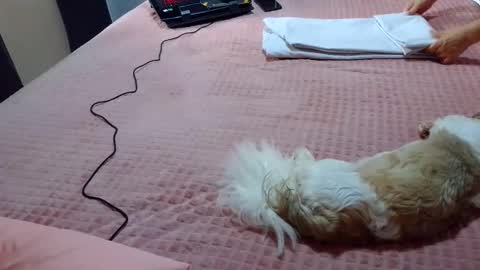 kelly online show from February 2025 07:23:02 PM