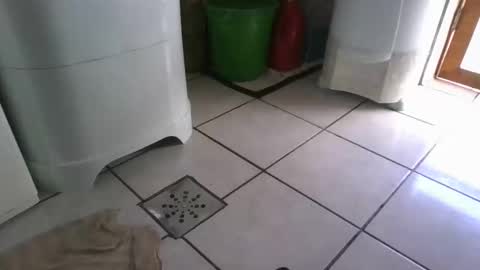 kelly online show from March 2025 09:27:02 PM