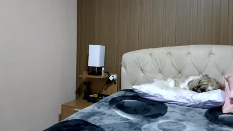 Snapshot of laylabrasil chatting on July 2026 09:10:02 PM kelly online show from July 2026 09:10:02 PM