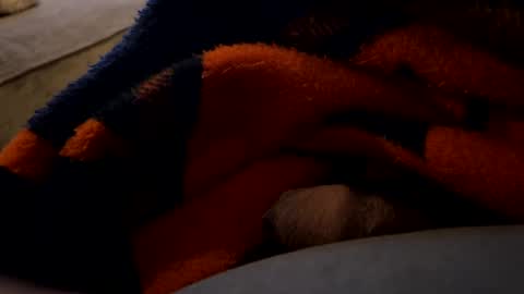 Snapshot of lc6173 chatting on December 2024 01:43:01 AM lc6173 online show from December 2024 01:43:01 AM