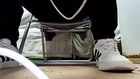 lechebizvm online show from October 2025 12:00:01 AM