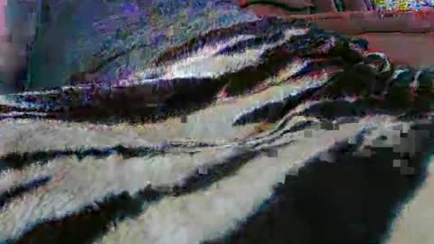 Snapshot of ledmax07 chatting on April 2026 01:22:02 AM ledmax07 online show from April 2026 01:22:02 AM