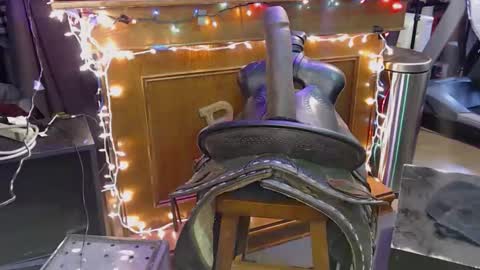 Lee Cox online show from November 2025 11:05:02 PM