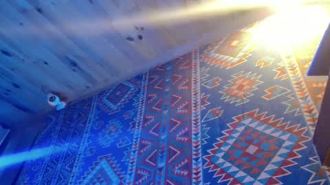 Dliciousman online show from February 2025 10:37:02 PM