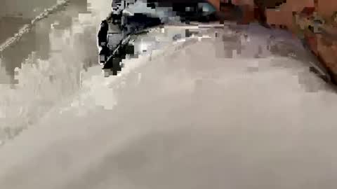 legal4 online show from October 2025 07:23:02 PM