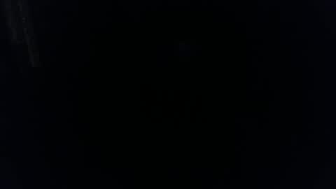 Pussylicker online show from November 2025 11:00:01 AM