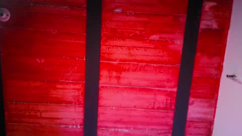 Lenardo jaramillo online show from December 2024 12:16:02 PM