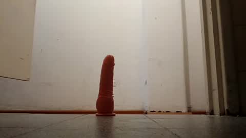 Abril online show from November 2025 06:20:02 PM