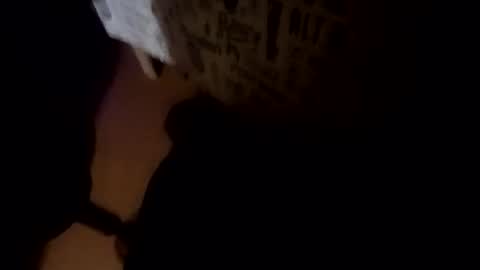 Abril online show from April 2026 04:32:01 AM