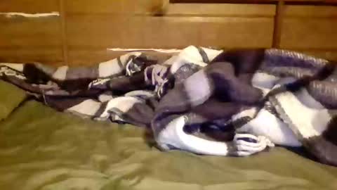 Snapshot of leskator9 chatting on November 2025 09:09:01 AM leskator9 online show from November 2025 09:09:01 AM