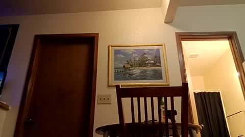 letsplay361 online show from March 2025 02:27:02 AM