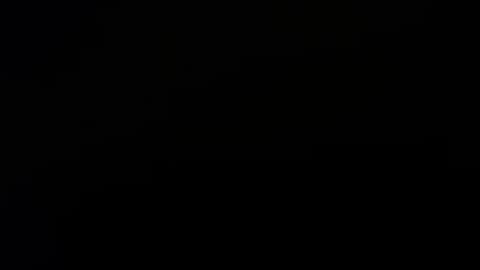 letsplay361 online show from November 2025 02:44:01 AM