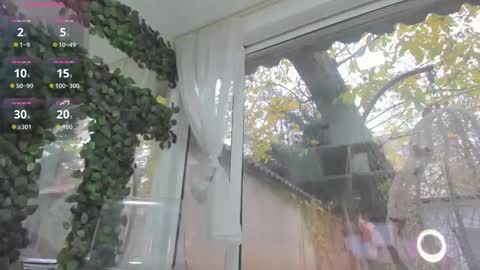 lexi_storm online show from November 2025 07:03:02 AM