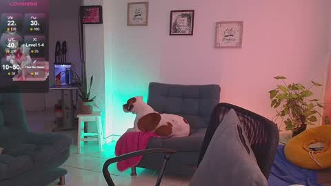 Lexie Thompson   8pm  0000am -5 online show from December 2024 11:33:02 AM