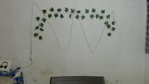 lolita online show from January 2025 02:14:02 PM