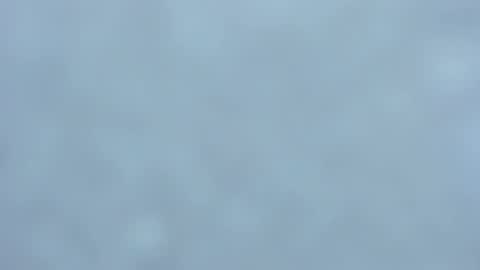 . online show from February 2025 03:52:02 AM