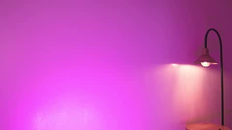 liaa online show from December 2025 07:45:02 PM