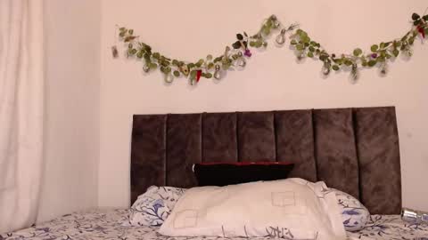   lia  online show from December 2024 12:20:01 AM