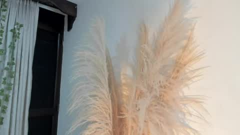 Lia online show from April 2026 03:29:02 AM