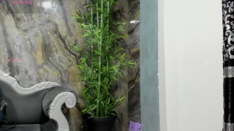 LIAM KLEIN online show from January 2025 11:29:02 AM