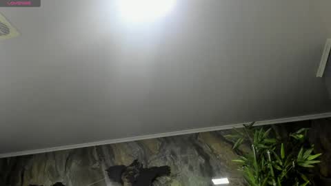 LIAM KLEIN online show from January 2025 11:23:02 AM