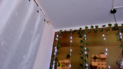 liam online show from September 2025 12:29:01 PM