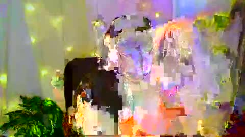 Snapshot of libertaamore chatting on November 2025 03:21:02 AM Liberta online show from November 2025 03:21:02 AM