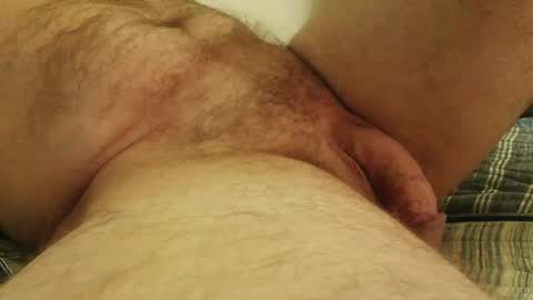 licam online show from October 2025 02:37:02 AM