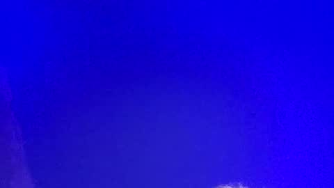 Snapshot of lickyouryoni chatting on March 2025 02:48:01 PM LickYourYoni online show from March 2025 02:48:01 PM