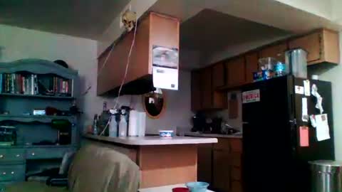 likerightnow online show from April 2026 03:04:02 AM